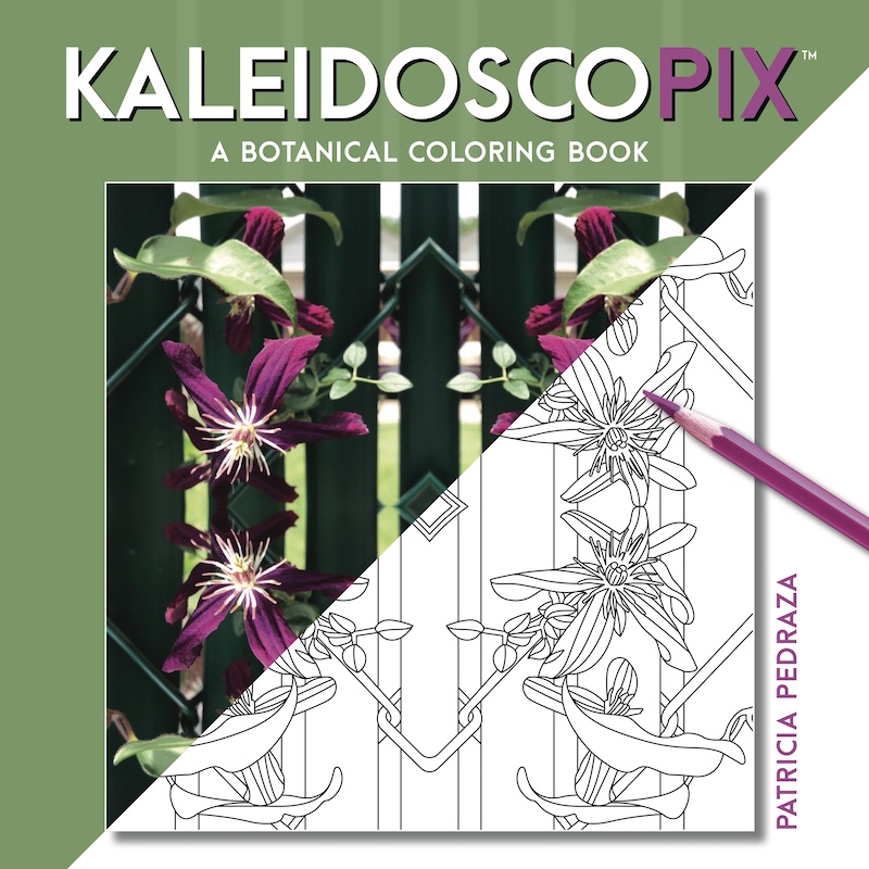 Kaleidoscopix™ -  Pedraza