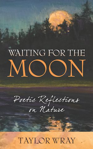 Waiting for the Moon Cover